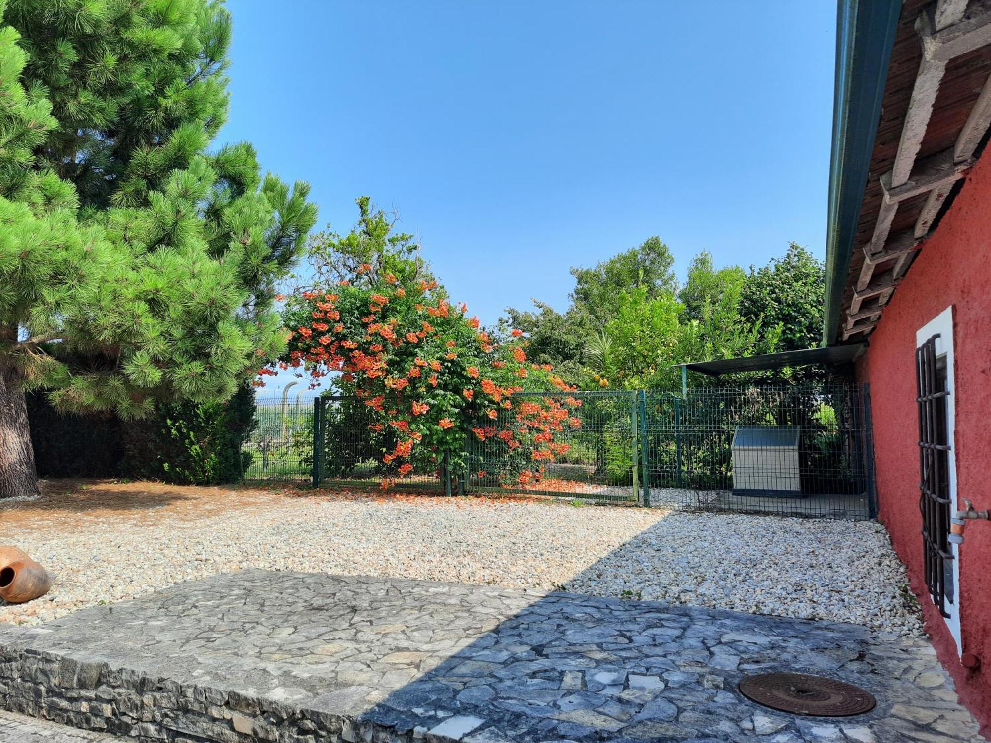 Qm - Quinta Da Morgadinha - Casa Em Quinta Rural Villa Cabecos Exterior foto